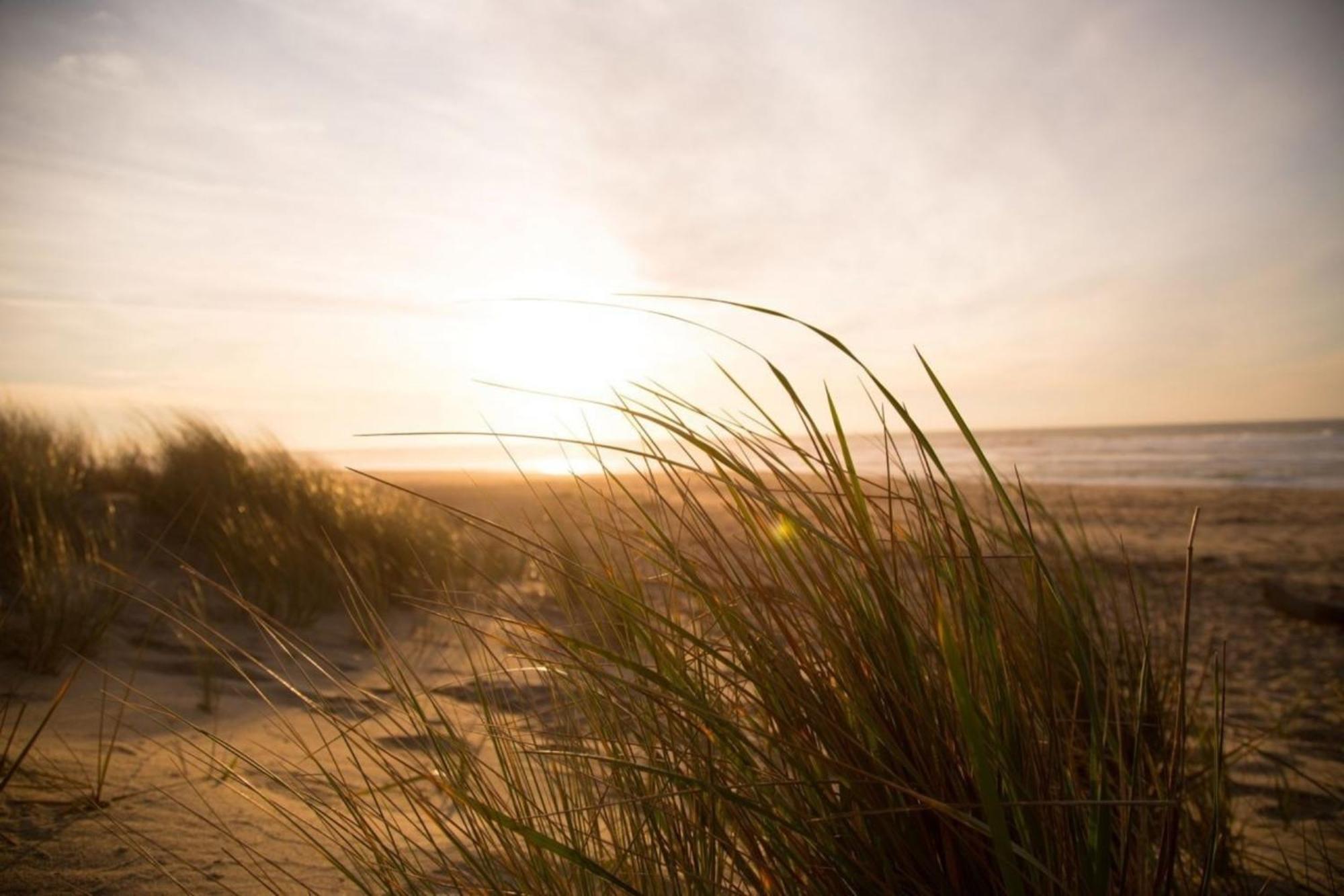 Kleine Nordseewelle Ohne Hund Norden Exterior foto